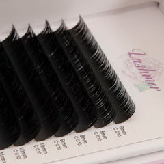 Classic Lashes Thickness (0.10/0.12) 16 Lines - Lashmer