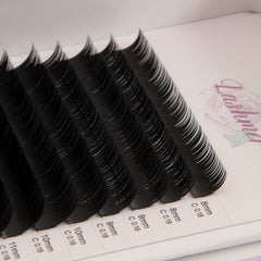 Classic Lashes Thickness (0.18/0.20) 16 Lines - Lashmer