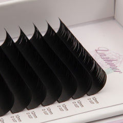 Matt Black Volume Lashes D Curl (0.03/0.05/0.07) 16 Lines