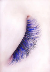 Color Volume Eyelashes D Curl (0.07) - Lashmer Nails&Eyelashes Supplier