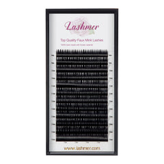Premade Wet Look Lashes | Lashmer | C, D Curl