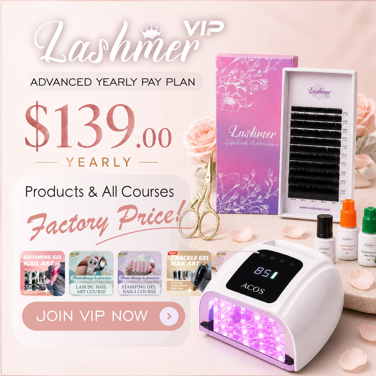 Lashmer VIP Membership
