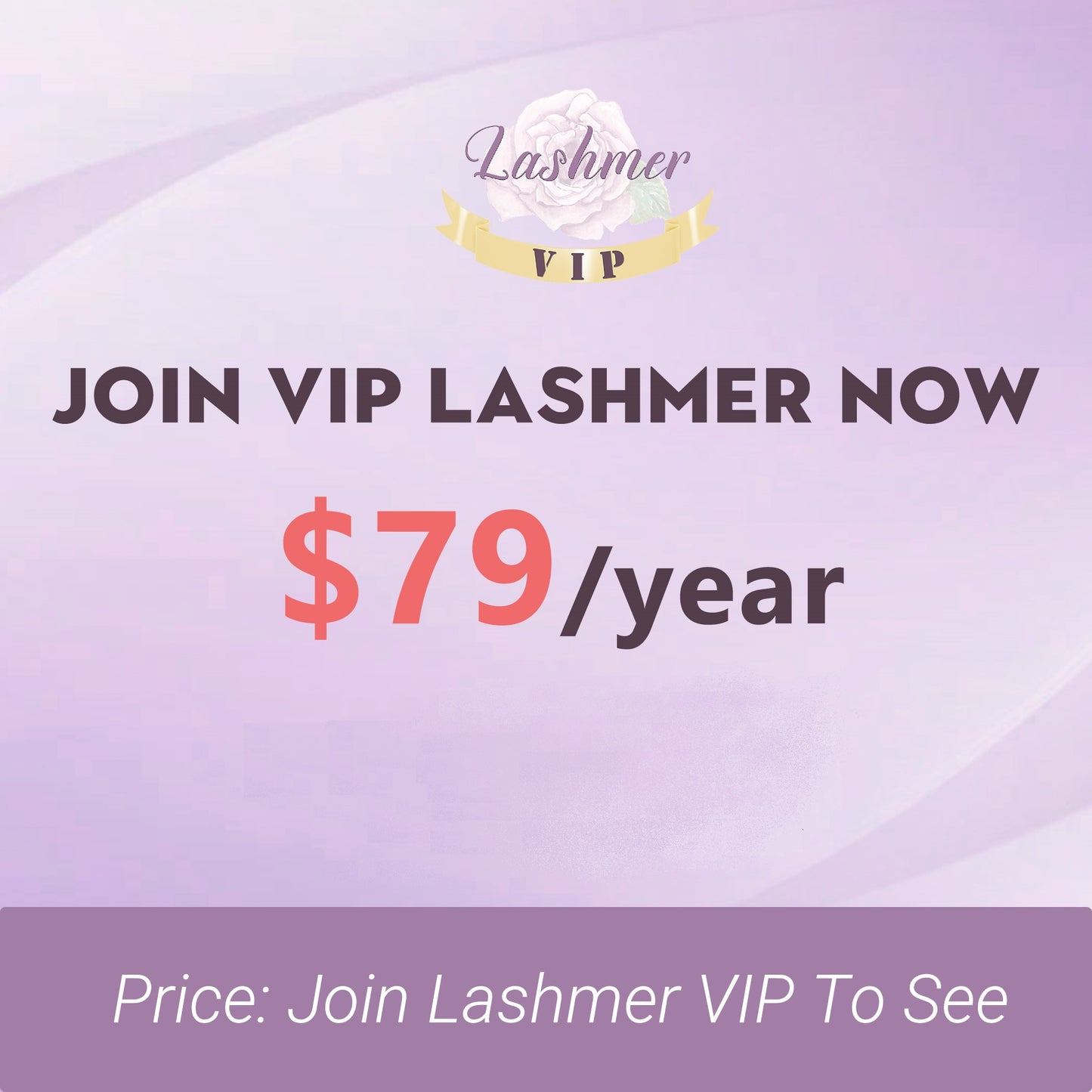 Lashmer Platinum Membership Yearly