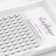 Premade fans Short Stem | Lashmer | L Curl 5D